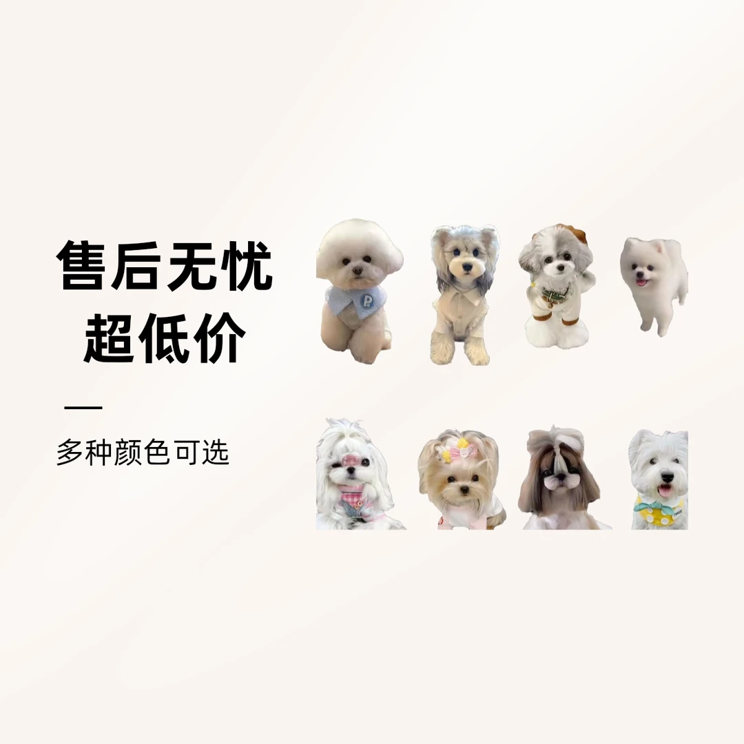悠悠犬舍167比熊泰迪沙皮恶霸犬兔体腊肠西高地小体雪纳瑞比格