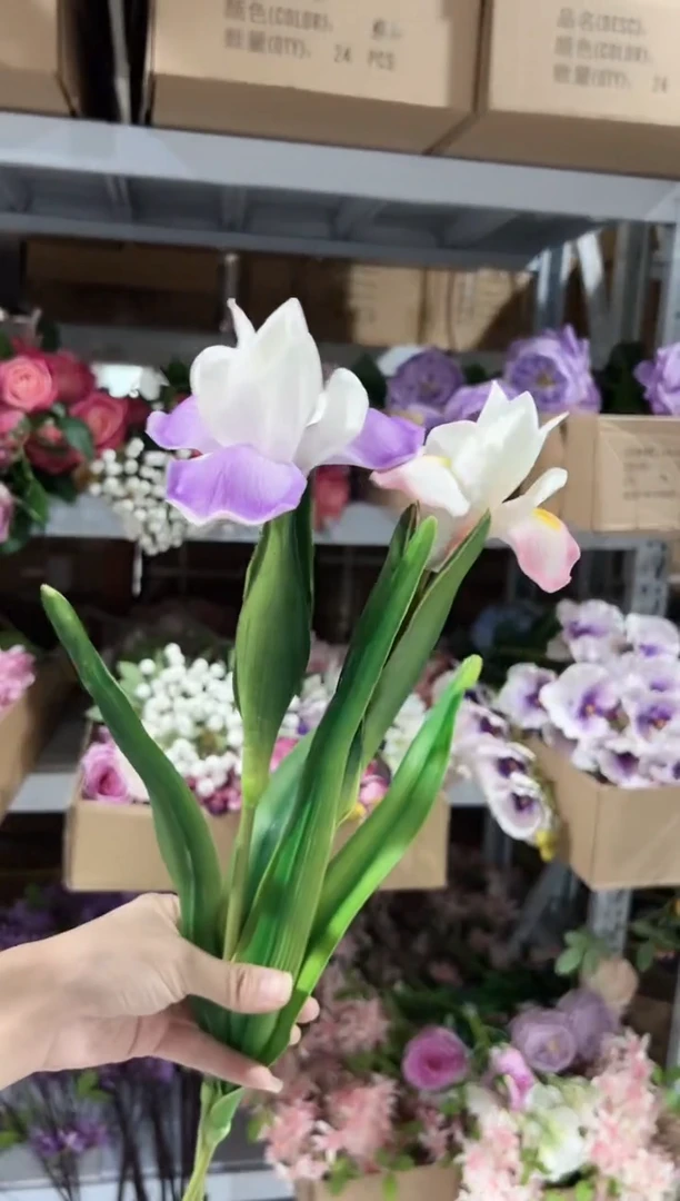 1枝紫色1枝粉色鸢尾花花