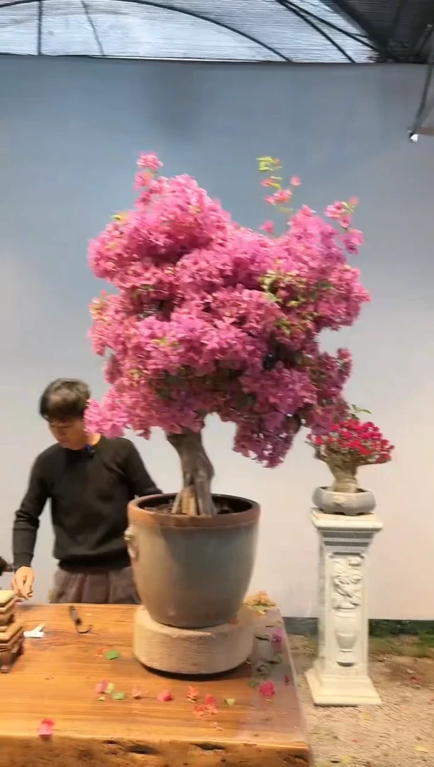 【闪购商品】AA912