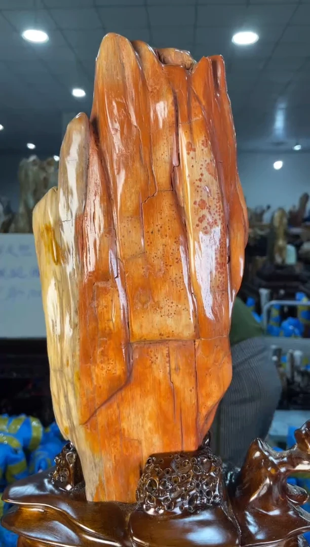 未镶嵌摆件硅化玉36