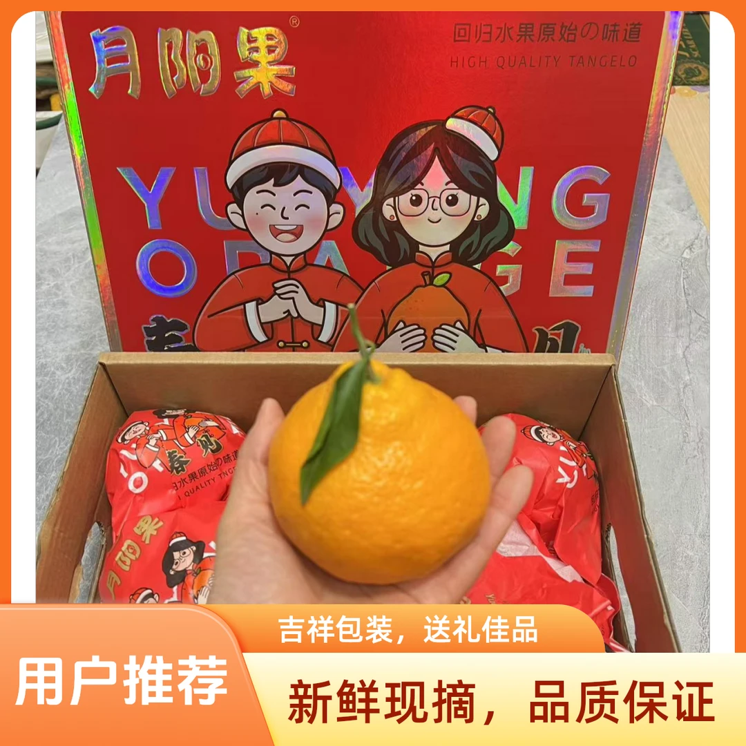 月阳果粑粑柑特大果-送人有面子有手提袋-非市面上的小果