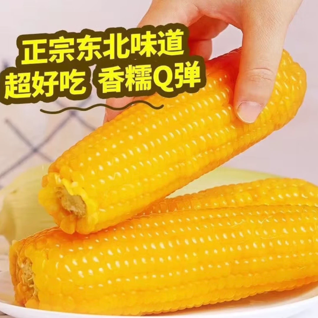 【整箱19根】正宗东北糯玉米黄玉米真空包装 150克/棒 6斤 嫌小勿拍