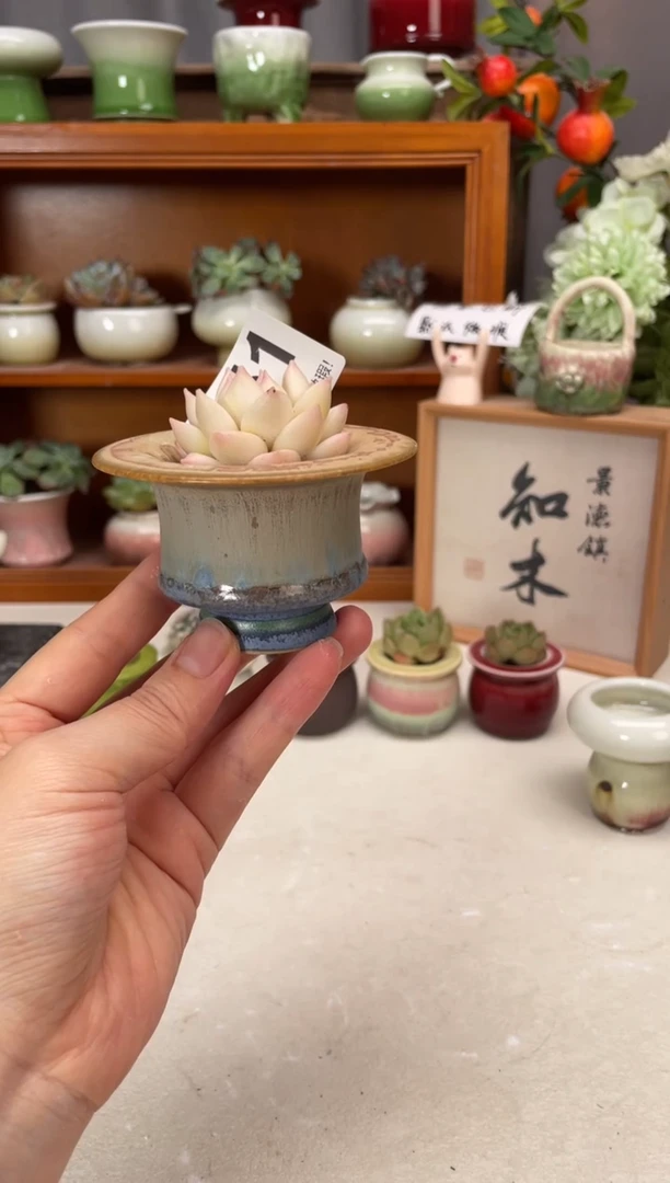 瓷片451小芳直播编号