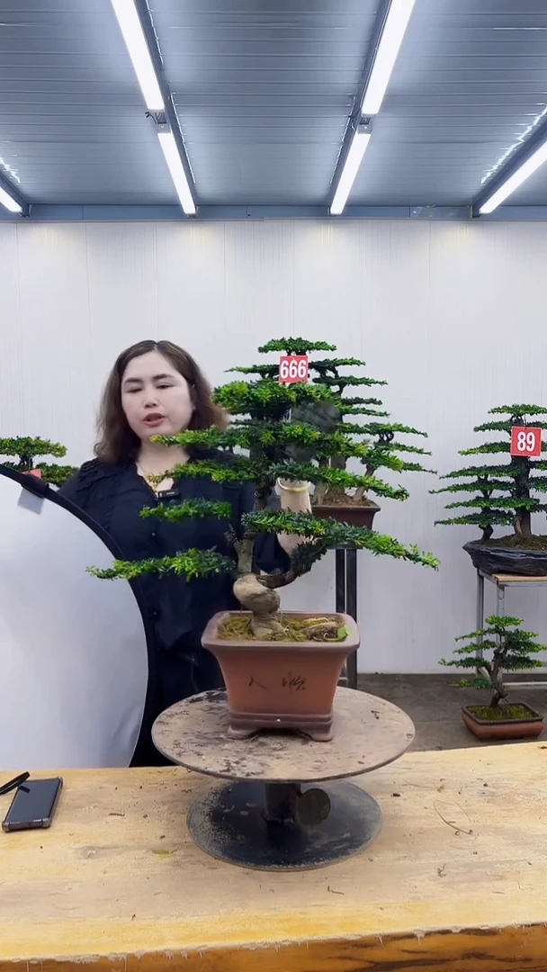 无花朵一物一拍，所见即所得