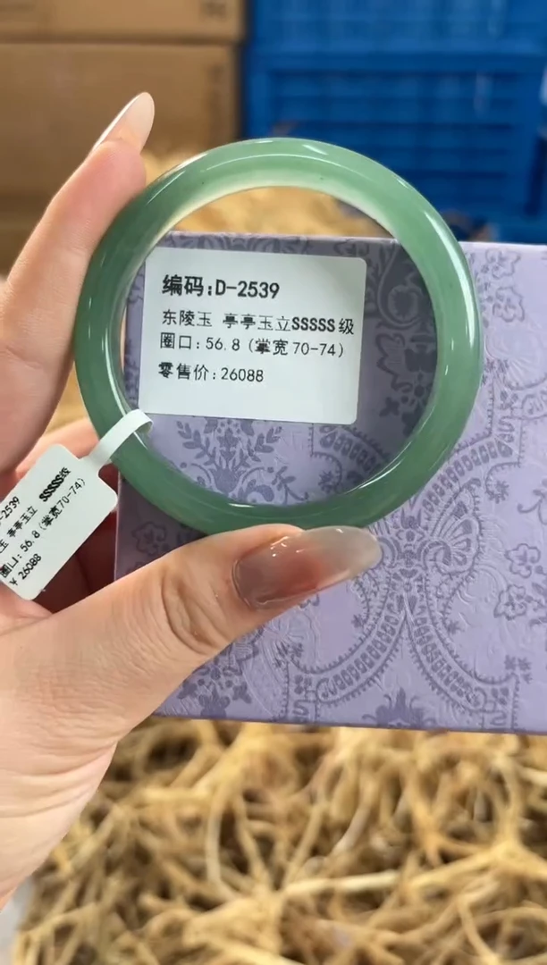 未镶嵌手镯石英质玉D-2539