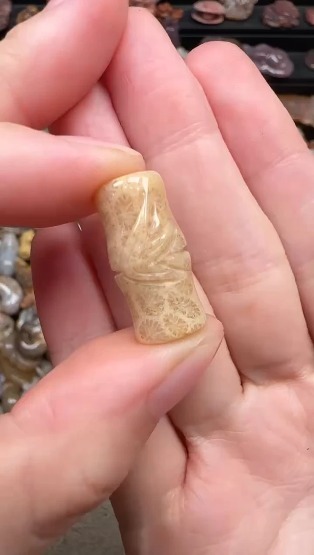 颈饰未镶嵌硅化珊瑚（珊瑚玉）289