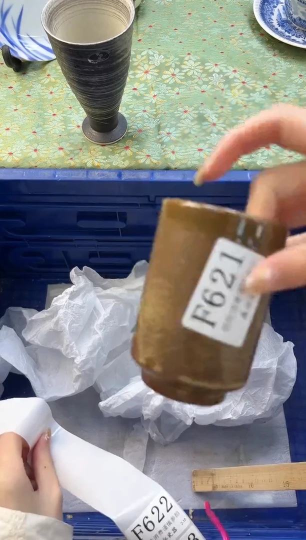 【闪购商品】瓷片          F621