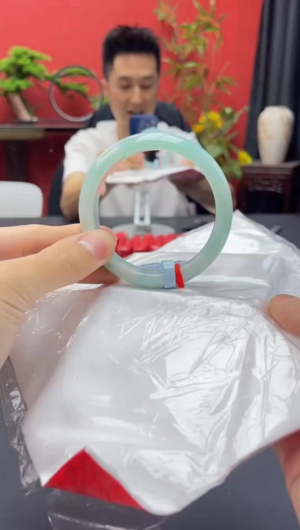 未镶嵌手镯翡翠2