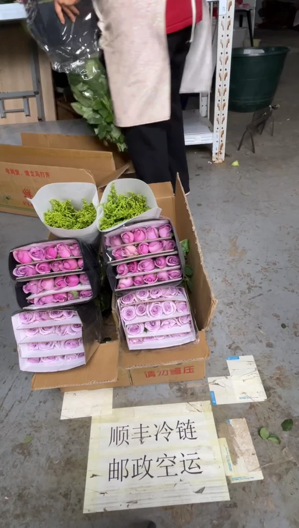 海洋之歌20枝+紫霞20枝+黄莺