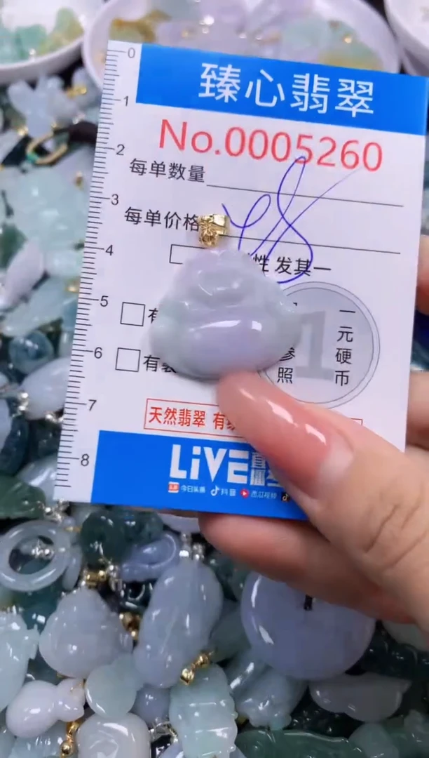 翡翠未镶嵌颈饰5260