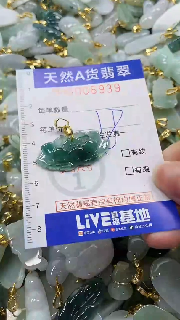 颈饰未镶嵌翡翠纯天然a货翡翠