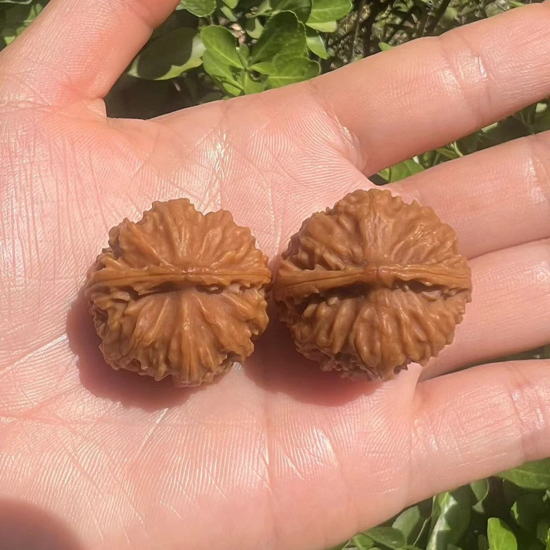 秦岭文玩核桃，图片仅供参考，以主播展示为准