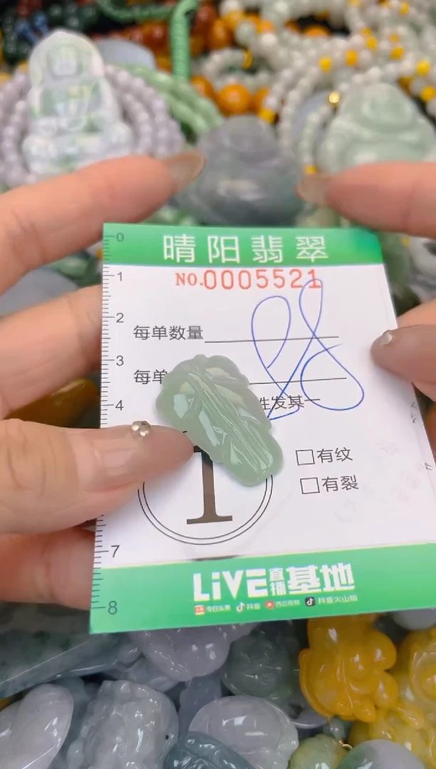 颈饰未镶嵌翡翠闪购0005521