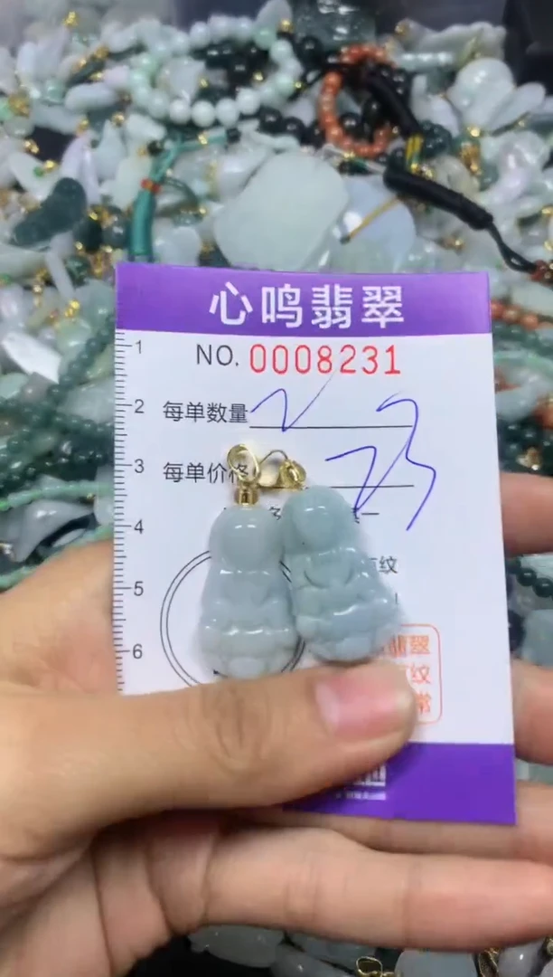 【闪购商品】翡翠颈饰未镶嵌闪购008231