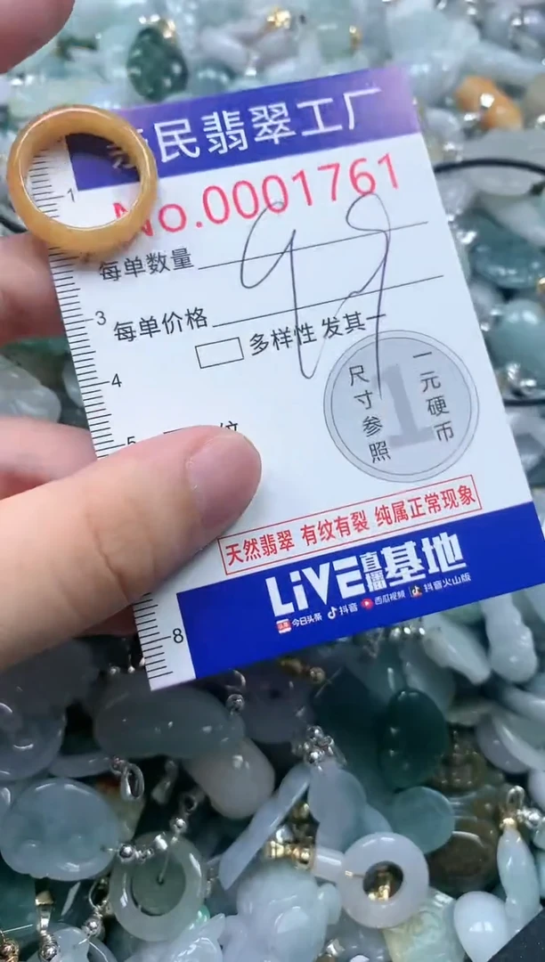 翡翠未镶嵌吊坠(不含链)1761