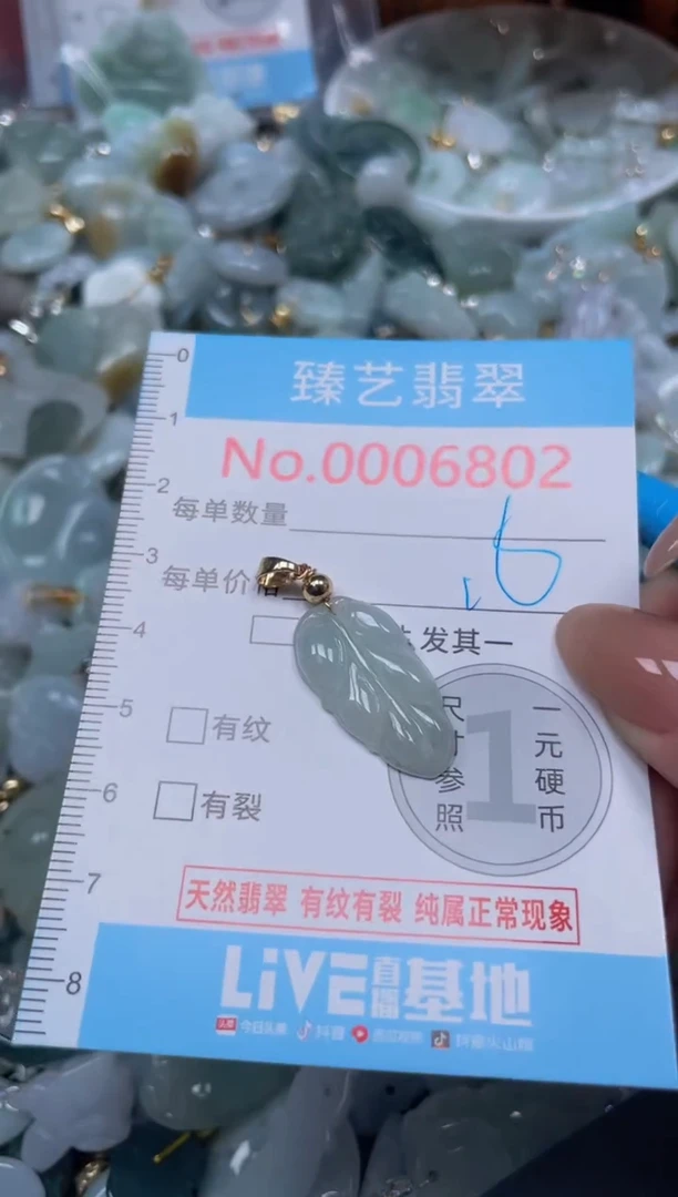 颈饰未镶嵌翡翠6802