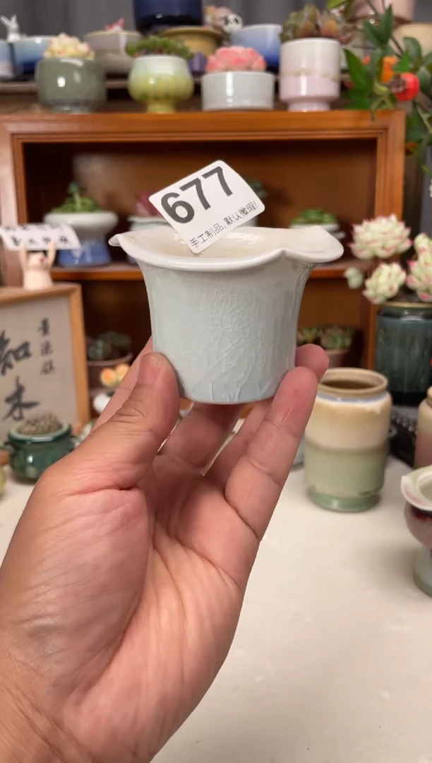瓷片677知木花盆小芳