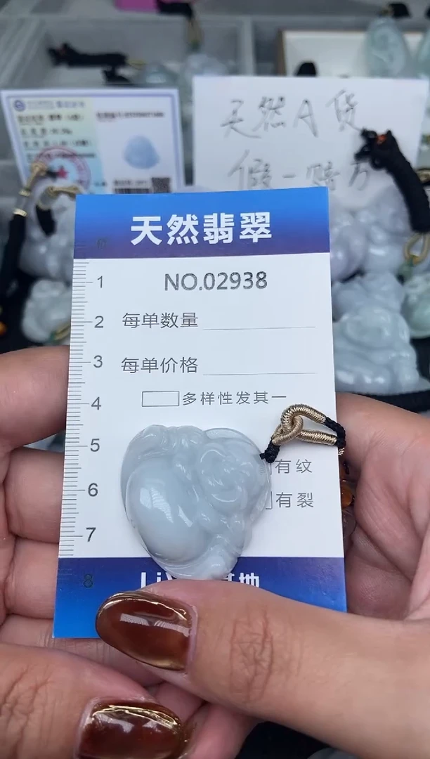 颈饰未镶嵌翡翠纯天然A货翡翠2938