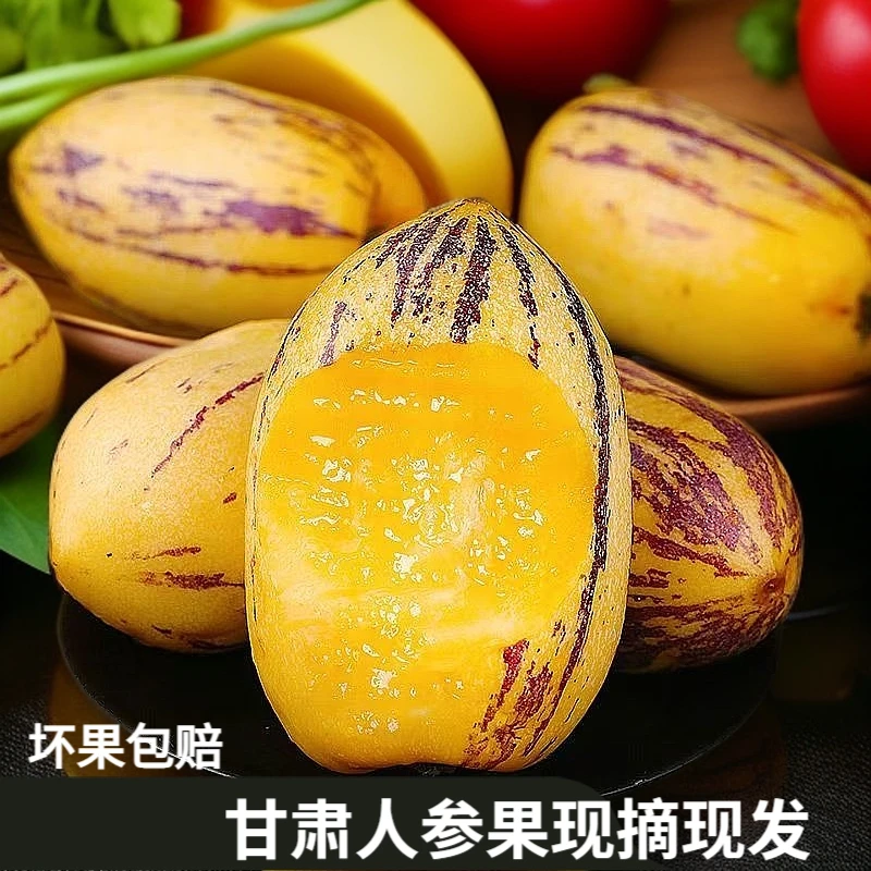 裕百果甘肃民勤人参果沙漠水果带箱5斤 7-15个装 坏果包赔