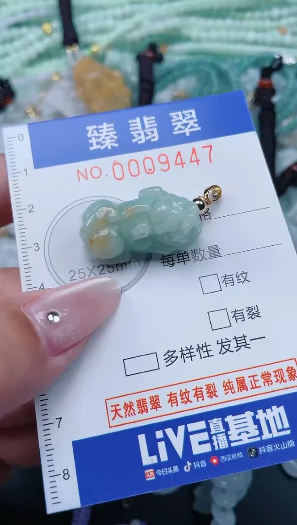 翡翠未镶嵌颈饰.0009447