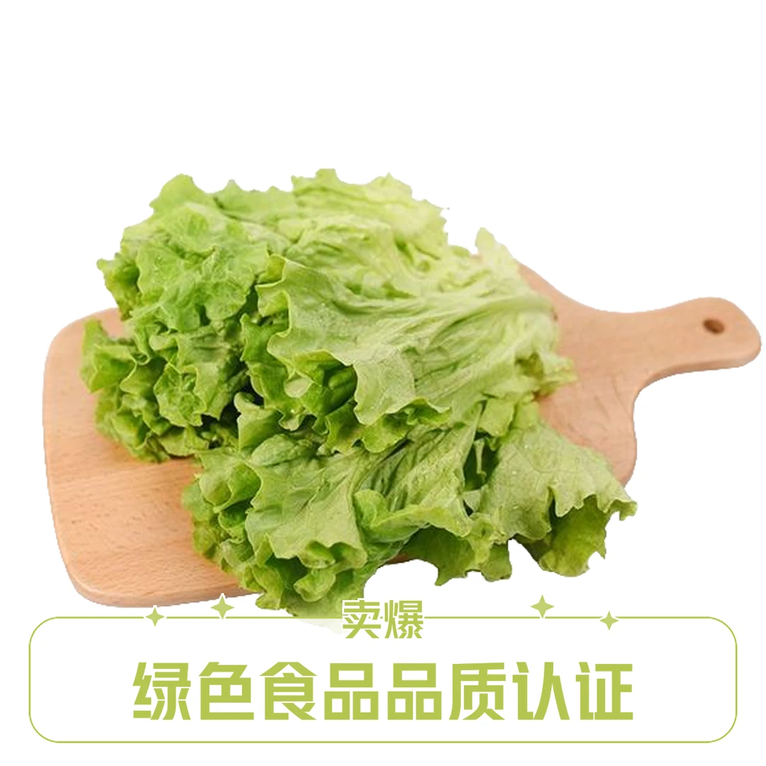 生菜 约 400g 一份 绿色蔬菜 同城配送生菜