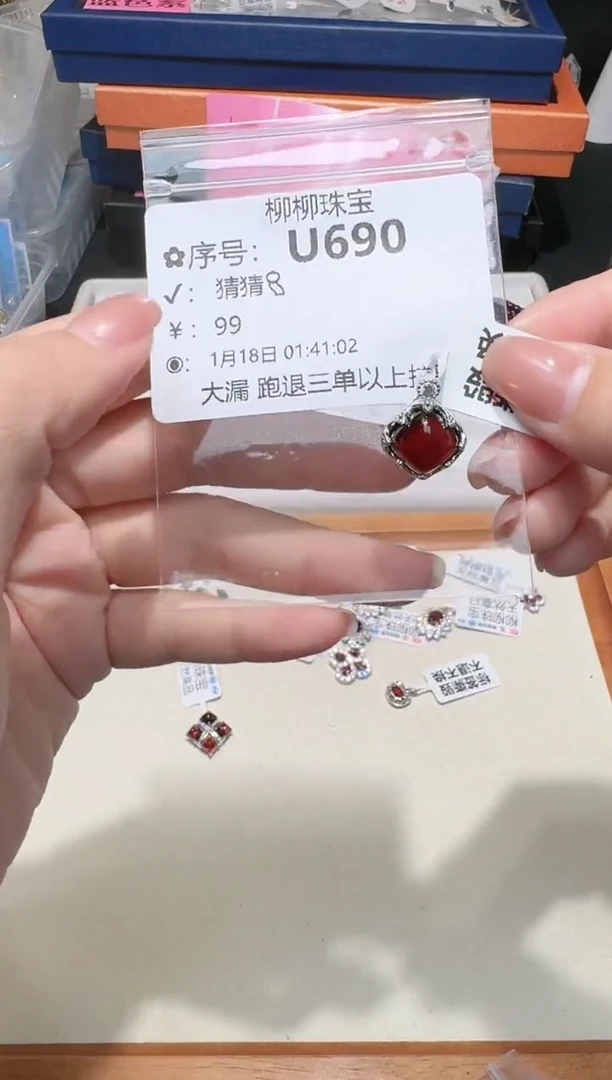 【闪购商品】石榴石颈饰银S925镶嵌多样性发一U690