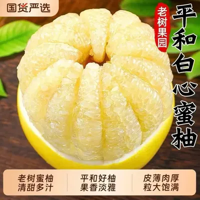 【奶糖柚】福建老树白玉柚子平和白心蜜柚送开果器 GS-2