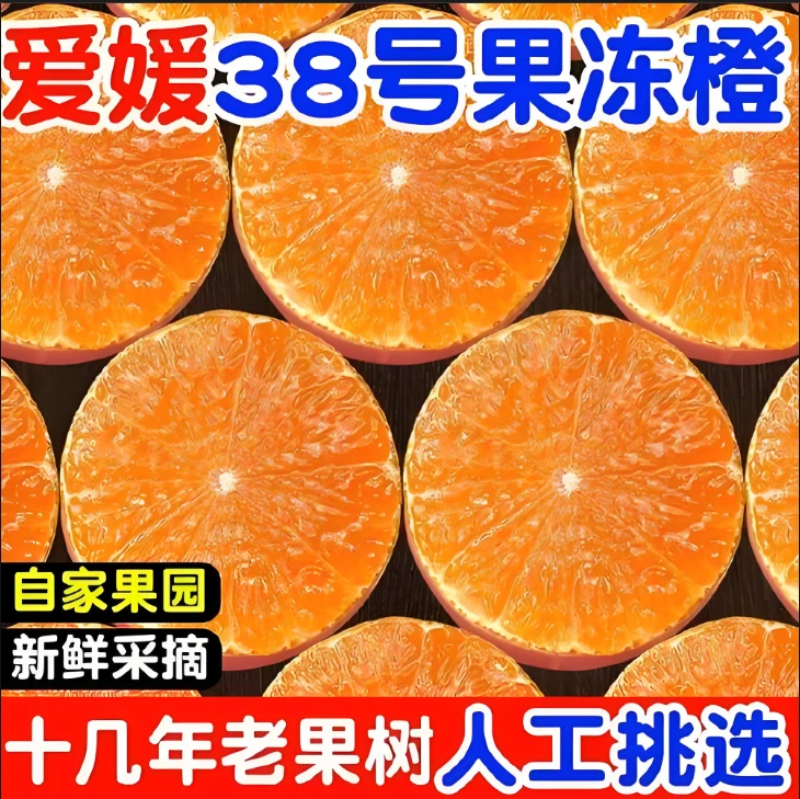 自家四川爱媛38号果冻橙 现摘新鲜水果 细嫩又甜又多汁 产地直发