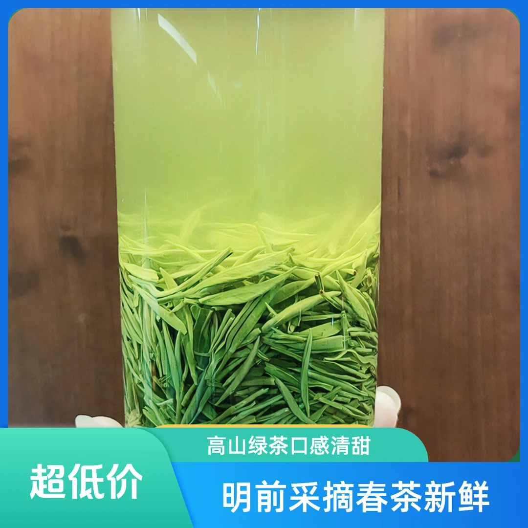 明前茶2025春茶高山绿茶新茶五峰毛尖