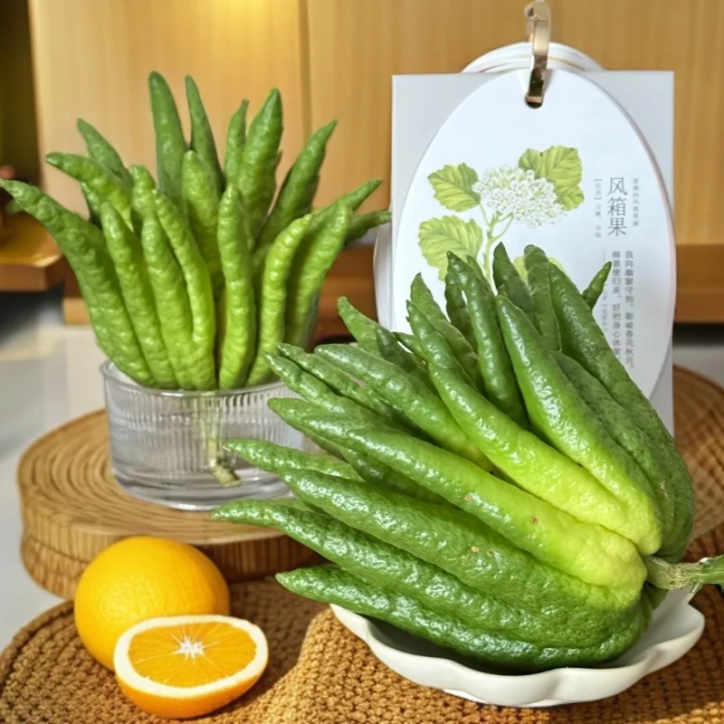 【云南高山佛手一物一拍】佛手柑水培插花清供观赏天然香薰新鲜花材
