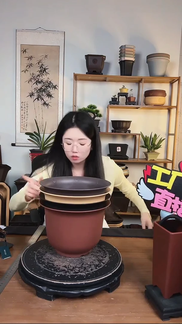 23金钟4只随机颜色
