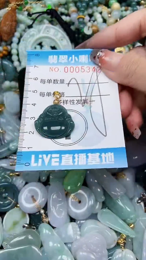 【闪购商品】翡翠颈饰未镶嵌闪购0005342多样性发其一