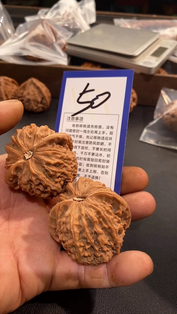 文玩核桃把件48金麒麟
