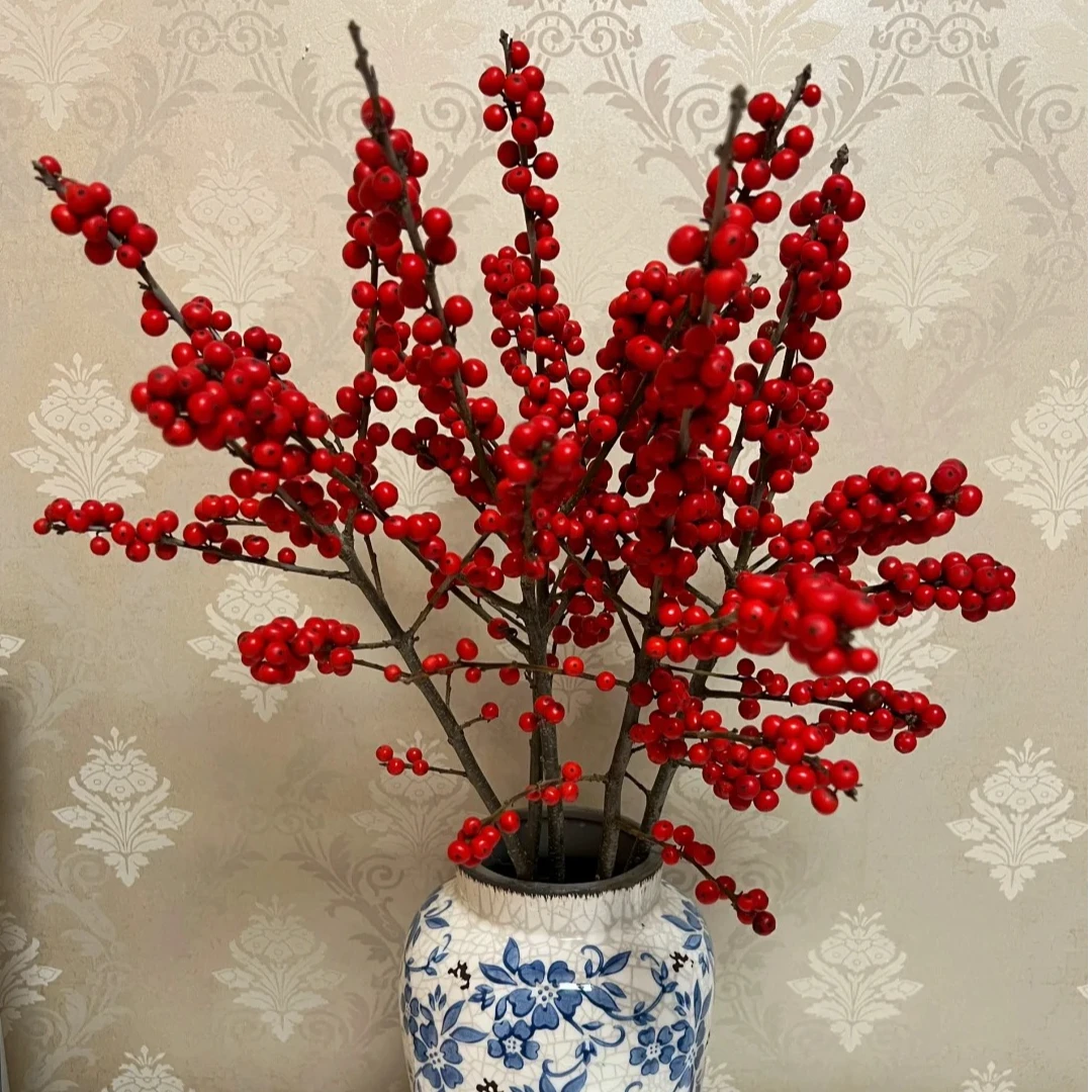 【冬青年宵花5枝】北方地区今天拍明天到，任意2单花花顺丰包邮