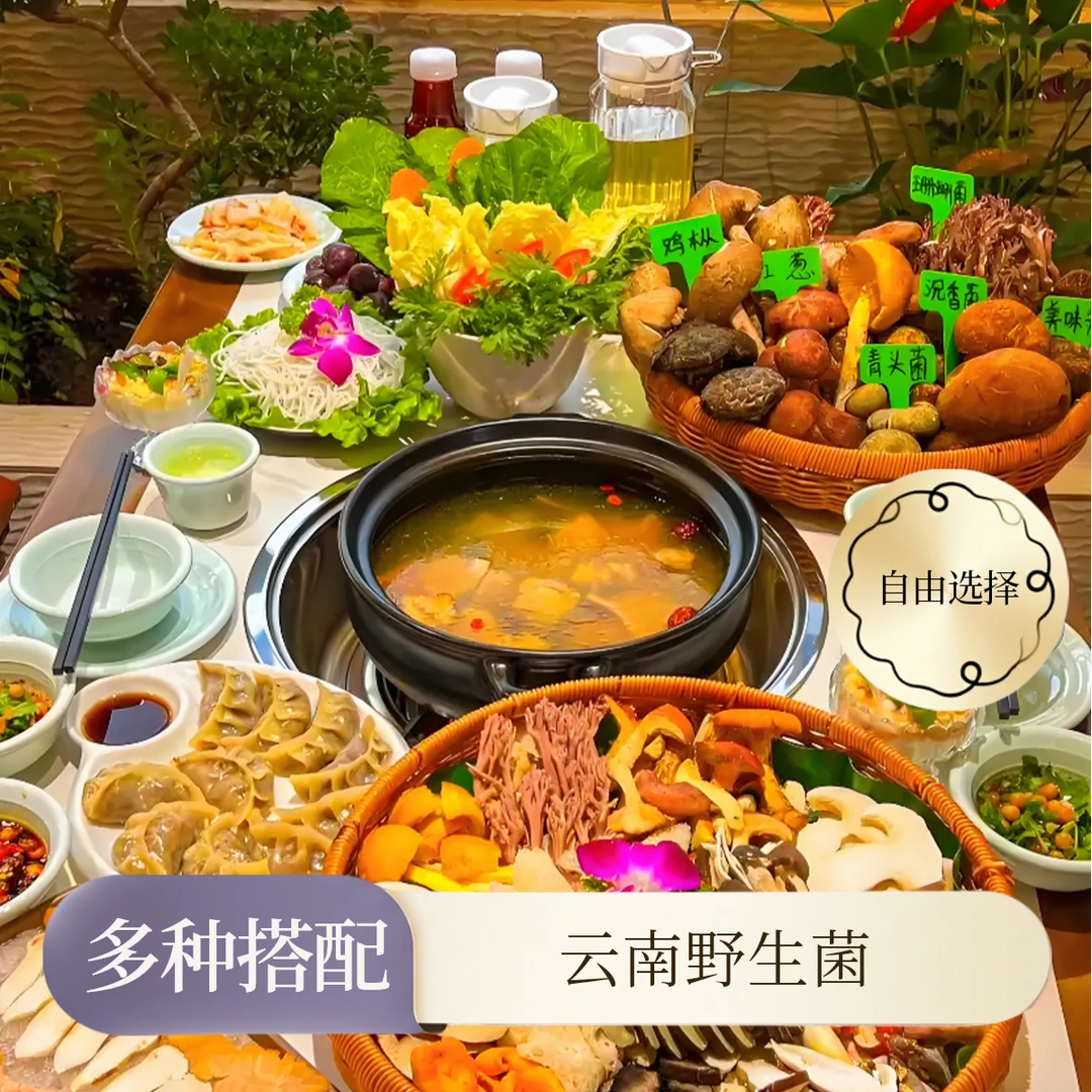 云南野生菌套餐搭配可多选火锅煲汤 足称 顺丰空运包邮
