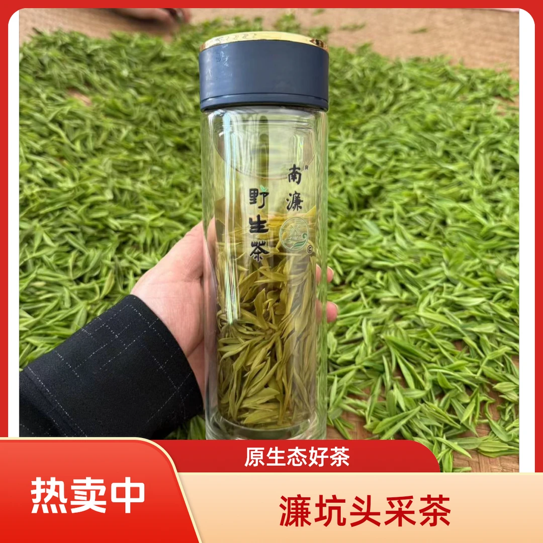 2025年新茶 （口粮）泾县濂坑南濂特尖、兰香、野 绿茶（原生态高山茶）