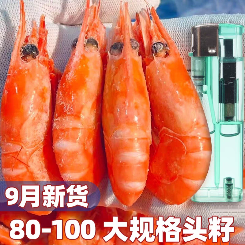 大号头籽北极甜虾3斤80-100 9月新货 满籽刺身级北极虾 无黑头包邮