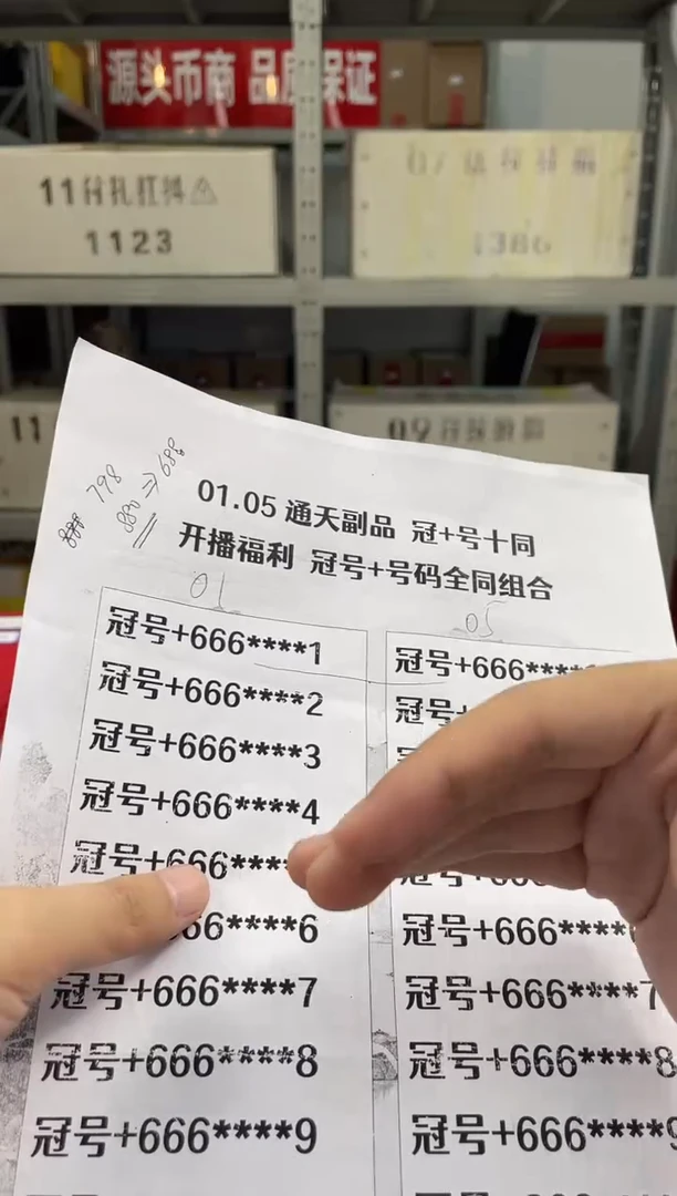 【六六大顺】通天豹冠+号十同龙凤胎标十对