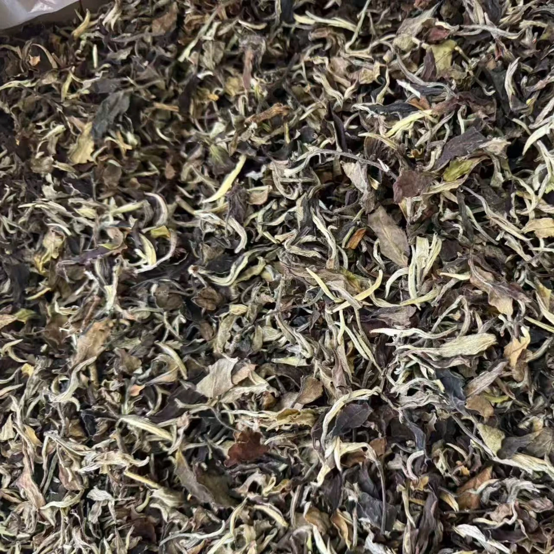 2022年一芽一叶白茶