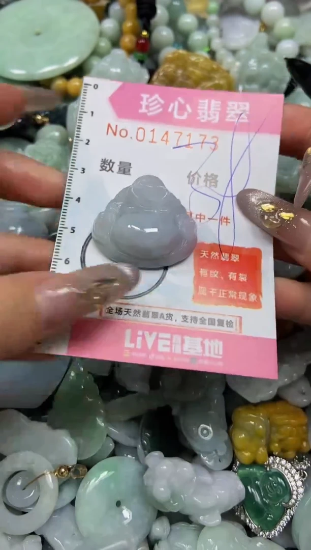 【闪购商品】翡翠颈饰未镶嵌闪购0147173