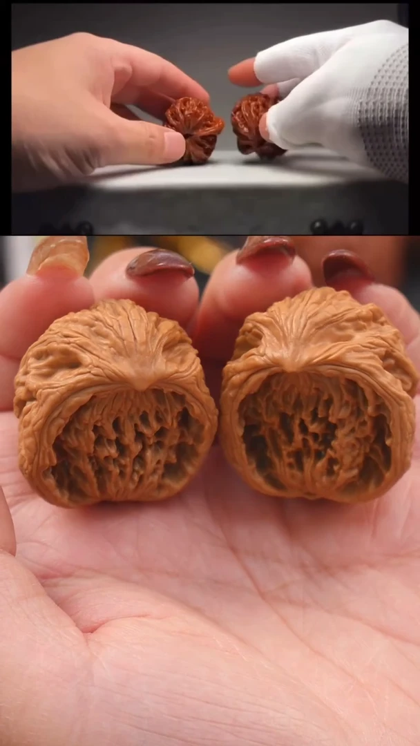 【闪购商品】文玩核桃把件34蛇王聚宝盆