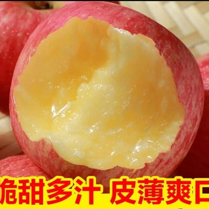 26年现摘陕西红富士苹果新鲜水果脆甜烂果包赔