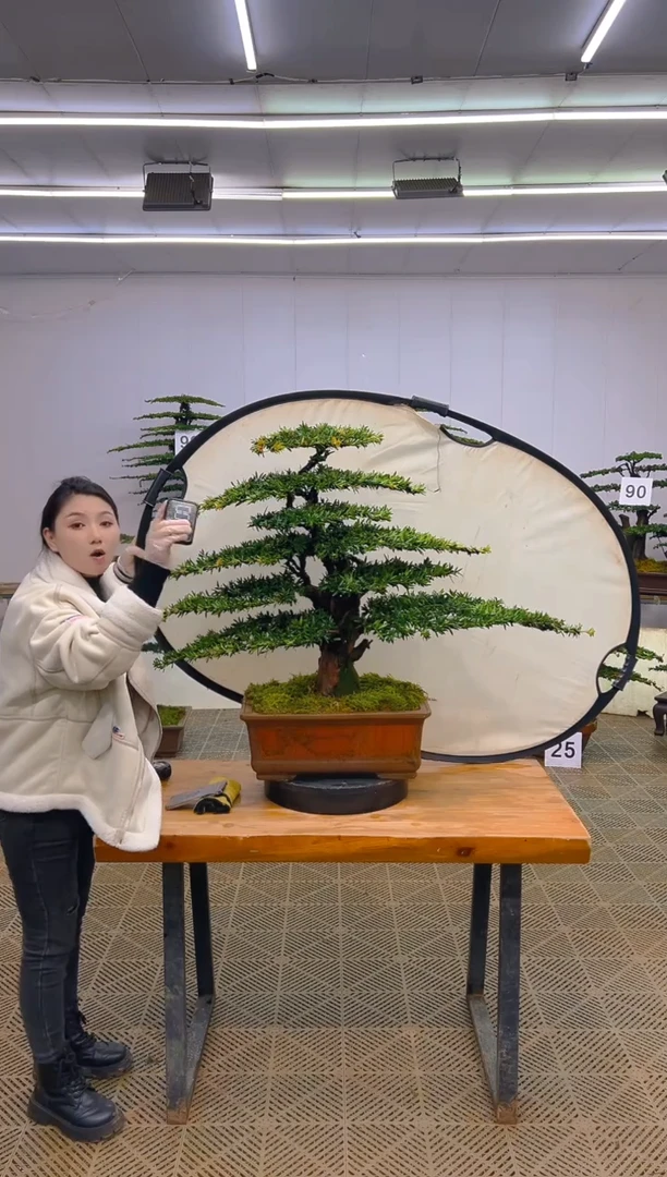 无花朵一物一拍一物一拍