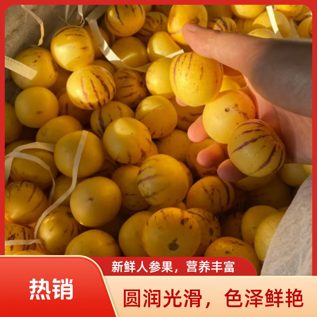 云南石林果树上熟黄肉圆果新鲜当季水果