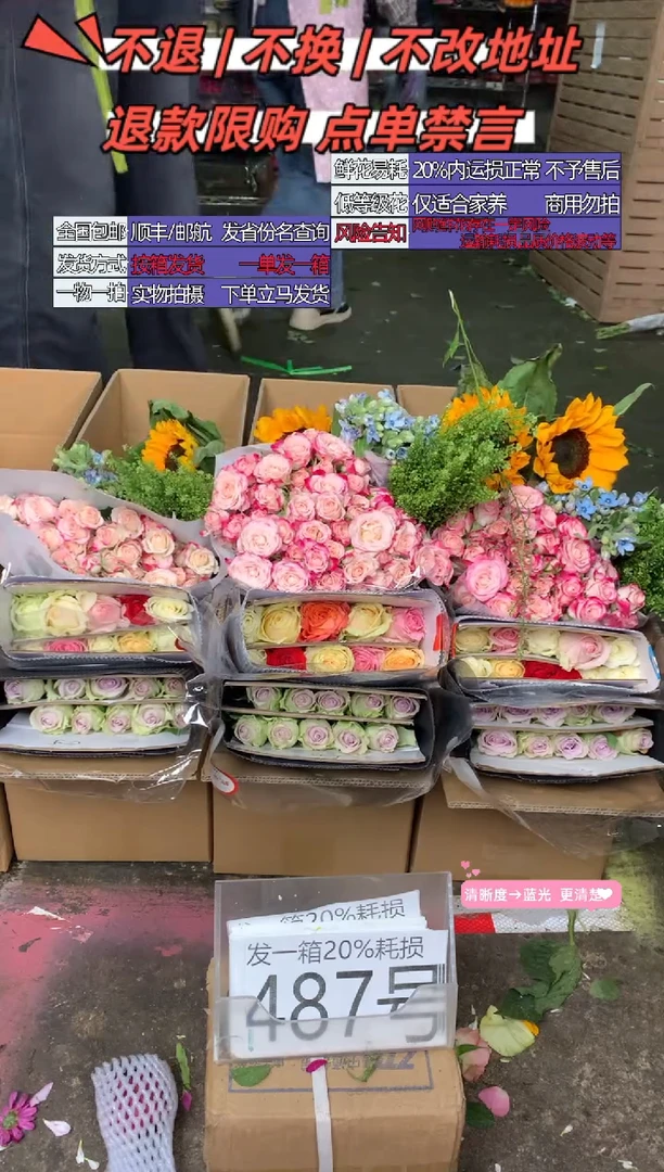 487号♥含20%耗损发一箱