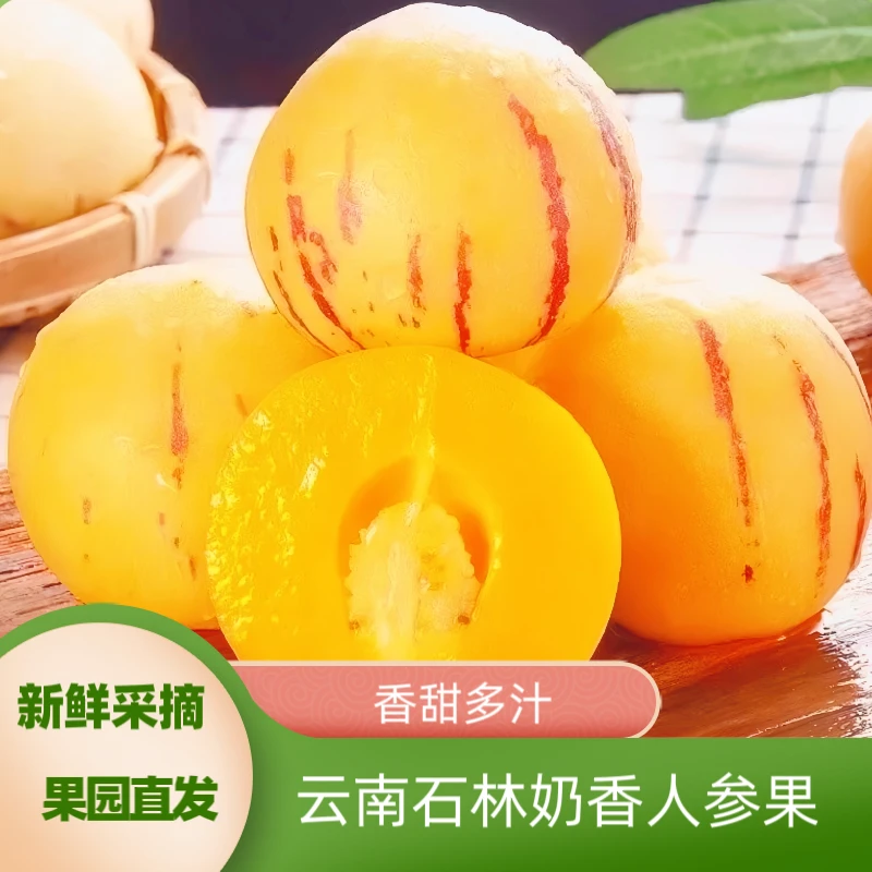 【品质精选】云南石林奶香人参果产地直发新鲜采摘应季水果香甜多汁