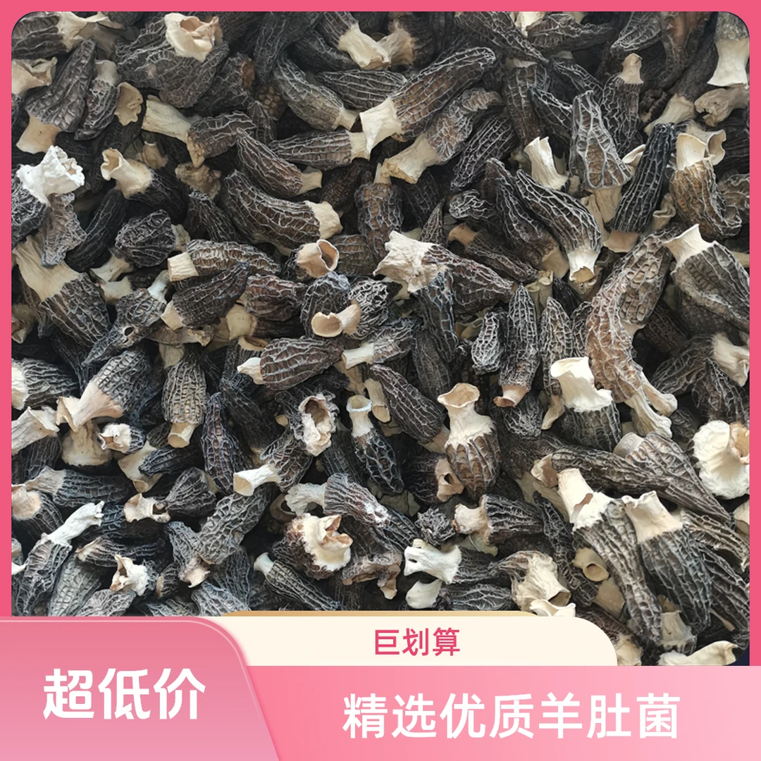 【25年头茬】3-5CM林下种植宝宝羊肚菌干货