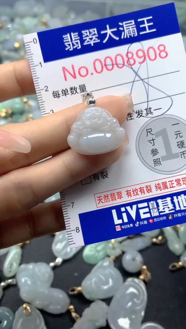 颈饰未镶嵌翡翠8908