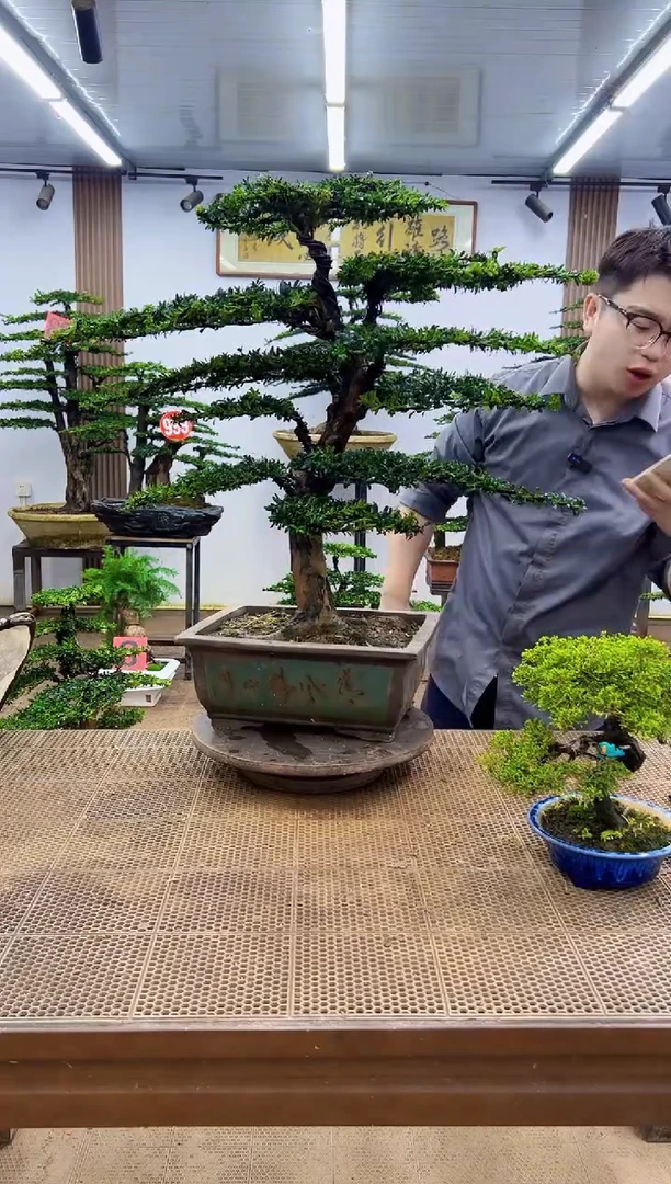 无花朵一物一拍，所见即所得