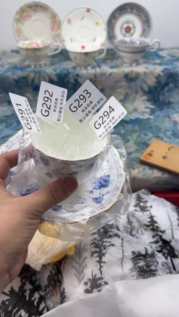 瓷片B****n           G294